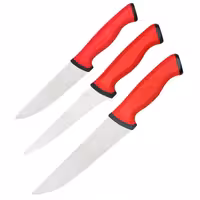 Fleischmesser-Set Duo Professional - inkl. Ausbeiner - 3-teilig