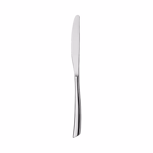 (12 pcs) Dessert knife Stella - 13/0 stainless steel - 210mm