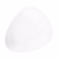 (6 adet) SELTMANN WEIDEN | Kahvaltı tabağı - düz - 255 mm