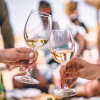 Hladnjak za vino - 2 klimatske zone - 120 l - max. 45 boca