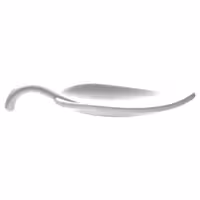 (50 adet) Sunum Kaşığı LEAF - Melamin - 100mm - Beyaz