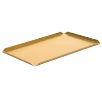 (5 kom) Prezentacijski pladanj - Aluminij - 600x150x10 mm - champagne