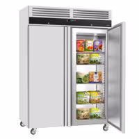 Szafa mroźnicza ECO – stal nierdzewna – 1200 L – z 2 drzwiami