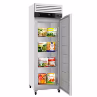 Zamrzivač nehrđajući čelik (inox) ECO - 375 l - od -22 °C do -18 °C - s 1 vrata - ventilirano hlađenje, automatsko odmrzavanje