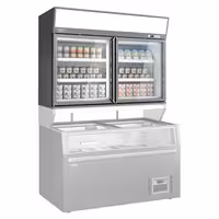 Zidni hladnjak za zamrzavanje u supermarketu – 1450 mm – 232 litre – s 2 vrata i 2 police – sivi