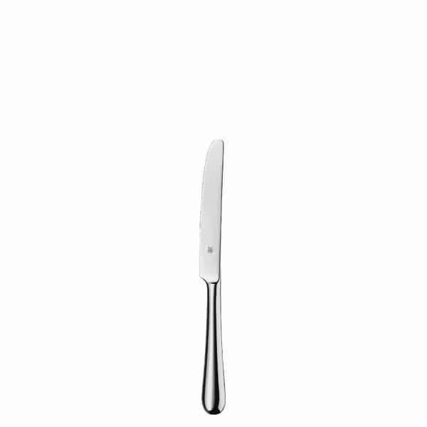 (12 pieces) WMF | Signum Knife – 18/10 stainless steel - mirror polished - 170 mm length