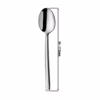 (12 pcs) Teaspoon PREMIUM - Stella - 18/10 stainless steel - 113mm - Mirror