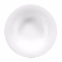 (2 adet) SELTMANN WEIDEN | Gurme Tabağı - Yuvarlak - Ø 270mm - Beyaz/Sade