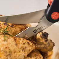 ZWILLING | Nożyce do drobiu – tworzywo sztuczne – 250 mm