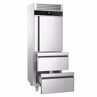 Szafa mroźnicza PREMIUM – stal nierdzewna – GN 2/1 – 700 L – z 1 półdrzwiami i 2 szufladami