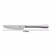 ZWILLING | Country Table Knife – 210 mm - Tapered blade - One-piece construction - 18/10 stainless steel - polished