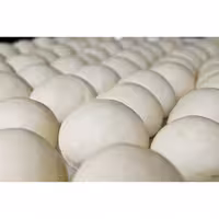 Zaokruživač tijesta - za tijesto za pizzu i kruh - 250 W - Kapacitet tijesta: 310 g - 610x560 mm - max. 500 kom/h