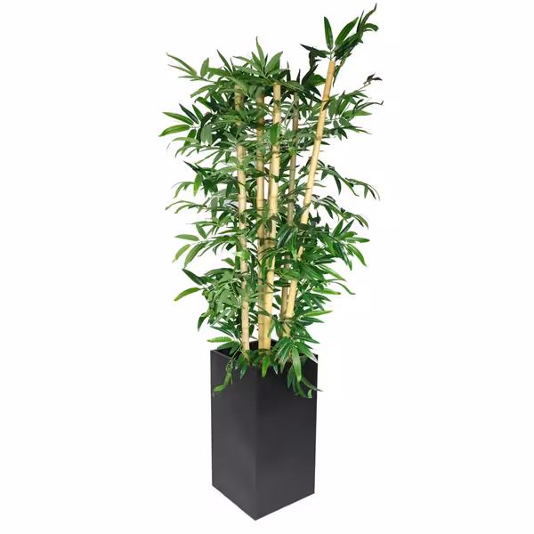 Yapay Ağaç "Bambu" - 210cm - Saksılı