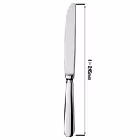 (12 pcs) Dessert knife Milo - 13/0 stainless steel - 245mm