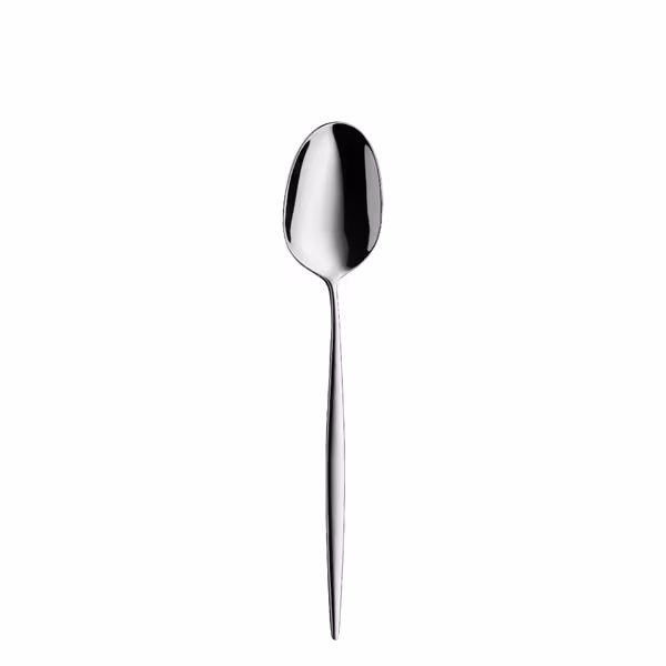 (12 pieces) WMF | ENIA Table Spoon – 210 mm - 18/10 stainless steel - polished