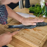 ZWILLING | VIER STERNE - Cuțit de filetat - Lamă: 180mm