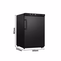 (2 szt.) Szafa mroźnicza magazynowa mini ECO – 200 L – z 1 drzwiami – wewnętrzna strona drzwi z tworzywa sztucznego – czarna