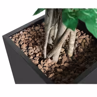 Yapay Ağaç "Ficus" - 210cm - Saksılı
