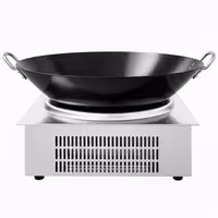 Wok de indução - 3,5kW - 1 zona(s) de cozedura - Ø 311mm - incl. wok