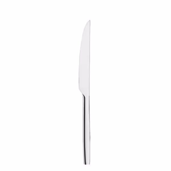 (12 pieces) WMF | Bistro Dinner Knife – 18/10 stainless steel - polished - 230 mm
