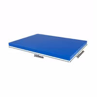 Neslīdošs griešanas dēlis - 300x500 mm - Biezums: 20 mm - HACCP atbilstošs - Polietilēns (PE) - Zils - Ar fiksatoriem