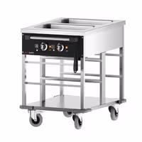 Toplovodna kupka grijana kolica - 2 kW - 2x GN 1/1 - odvojena regulacija temperature po bazenu