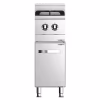 Plinsko kuhalo - 6,5 kW - 2 plamenika - samostojeći - 400x600x900 mm