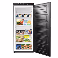 Commercial Upright Freezer ECO - 293L - Single Door - Black