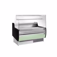 Serve Over Counter - 1310mm - with 2 doors - front panel light green - capacity 144 litres