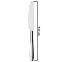 (12 pcs) Table knife Leandro - 13/0 stainless steel - 236mm - Mirror