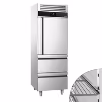 Szafa mroźnicza PREMIUM – stal nierdzewna – GN 2/1 – 700 L – z 1 półdrzwiami i 2 szufladami