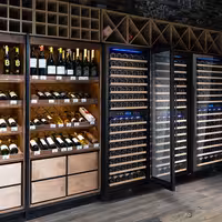 Hladnjak za vino - 2 klimatske zone - 450 l - max. 160 boca