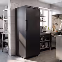 Commercial Upright Freezer ECO - 293L - Single Door - Black