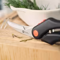 ZWILLING | Nożyce do drobiu – tworzywo sztuczne – 250 mm