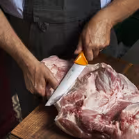 VICTORINOX | SWIBO - Cuchillo carnicero - Hoja: 210mm