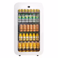 Minibar hladnjak – 450 mm – 67 litara – s jednim staklenim vratima