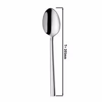 (12 pcs) Dessert spoon Giancarlo - 18/10 stainless steel - 205mm - Mirror