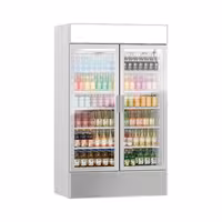 Commercial Beverage Display Fridge with Illuminated Canopy - 1200mm - 1048 Litres - with 2 hinged glass doors - LED lighting - Temperature range 1 to 10 °C