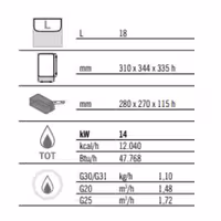 Plinska friteza - 18 L - 14 kW - elektroničko upravljanje - s odvodnom slavinom