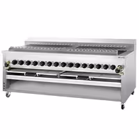 Commercial Gas Chargrill - for Adana & Shish Kebabs - 30 Auto-Rotating Skewers - 43kW - Freestanding - 1005mm Deep - 15 Burners