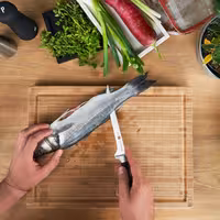 ZWILLING | VIER STERNE - Cuțit de filetat - Lamă: 180mm