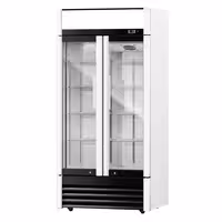 Commercial Beverage Display Fridge - 925mm - 630 Litres - with 2 hinged glass doors - LED lighting - digital controller with temperature display - Temperature range 2 to 8 °C