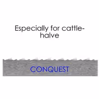 (5 kom) Ploče za stroj za tartlete - Conquest - Nazubljeno - 1,65 m - Nazubljenje 10 mm - kompatibilno s KSH1650