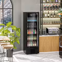Commercial Beverage Display Fridge - 590mm - 330 Litres - 1 hinged glass door - LED lighting - digital controller with temperature display - Black - Temperature range 2 to 8 °C