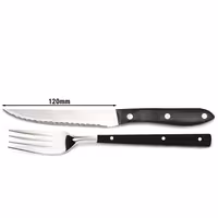(12 pcs) 12-Piece Steak Knife & Fork Set - Stainless steel - 120mm - Mirror
