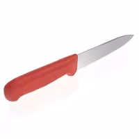 Nož za obradu mesa - Oštrica: 180 mm - ravna oštrica