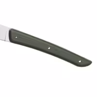 BERKEL | (4 bucăți) - Cuțit pentru friptură - Verde măsliniu - 110mm