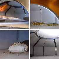 Gas Deck Pizza Oven - Single Deck - Refractory Stone Deck - 10 x Ø 30cm (12") - 230V Single Phase - Touchscreen Controls - up to 400°C - incl. Base frame